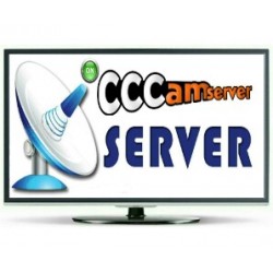12 Months CCcam Server