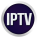 12 Month Suitable iptv Package